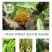 正品流胶一喷净果树花椒桃树流胶病专用真菌细菌溶解剂微生物