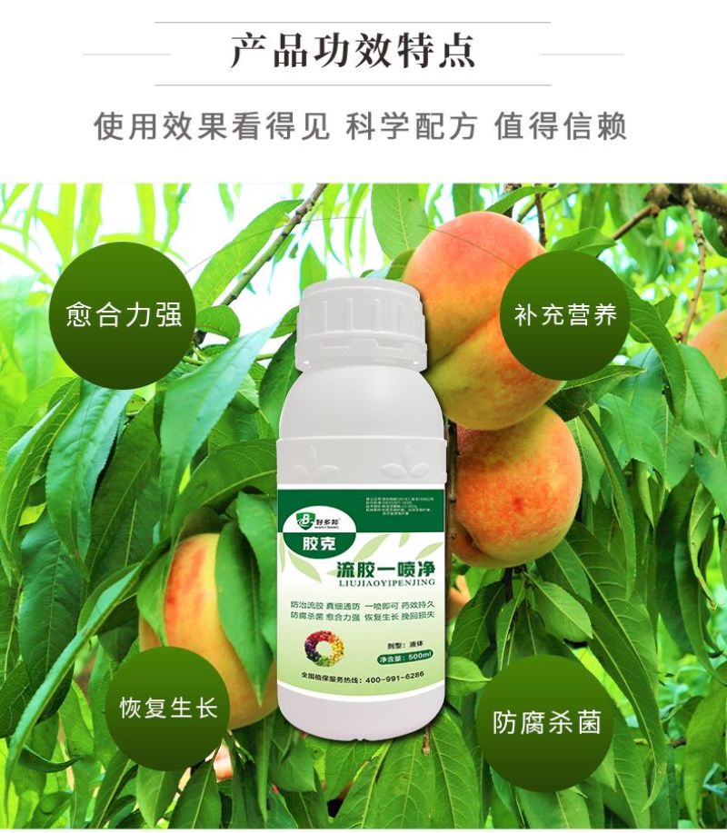正品流胶一喷净果树花椒桃树流胶病专用真菌细菌溶解剂微生物