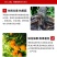 大量元素水溶肥料高钾氮磷平衡果树蔬菜花卉专用化肥正品复合