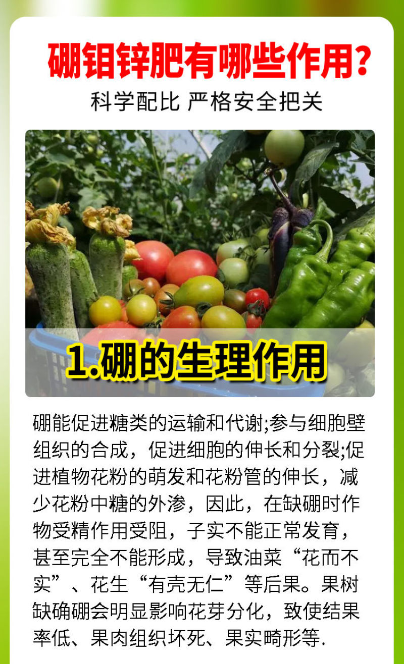 花生大豆促花芽分化保花保果膨果坐果果树蔬菜通用硼钼锌肥叶