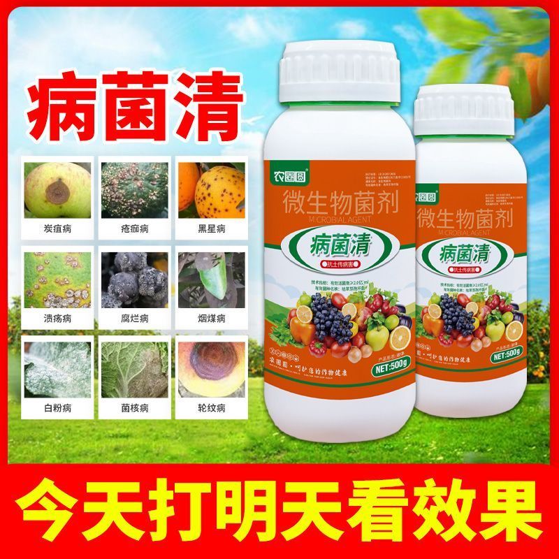 杀菌剂病菌清根腐枯黄病菌清灰霉病白粉叶斑微生物菌剂真菌细