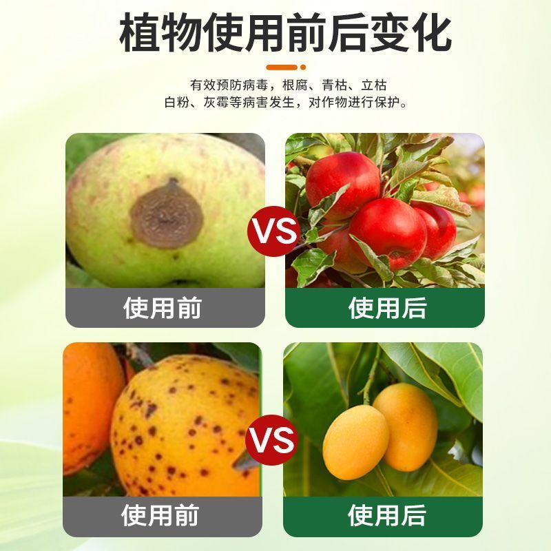 杀菌剂病菌清根腐枯黄病菌清灰霉病白粉叶斑微生物菌剂真菌细