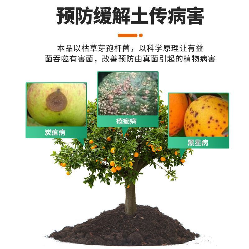 杀菌剂病菌清根腐枯黄病菌清灰霉病白粉叶斑微生物菌剂真菌细