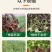 杀菌剂病菌清根腐枯黄病菌清灰霉病白粉叶斑微生物菌剂真菌细