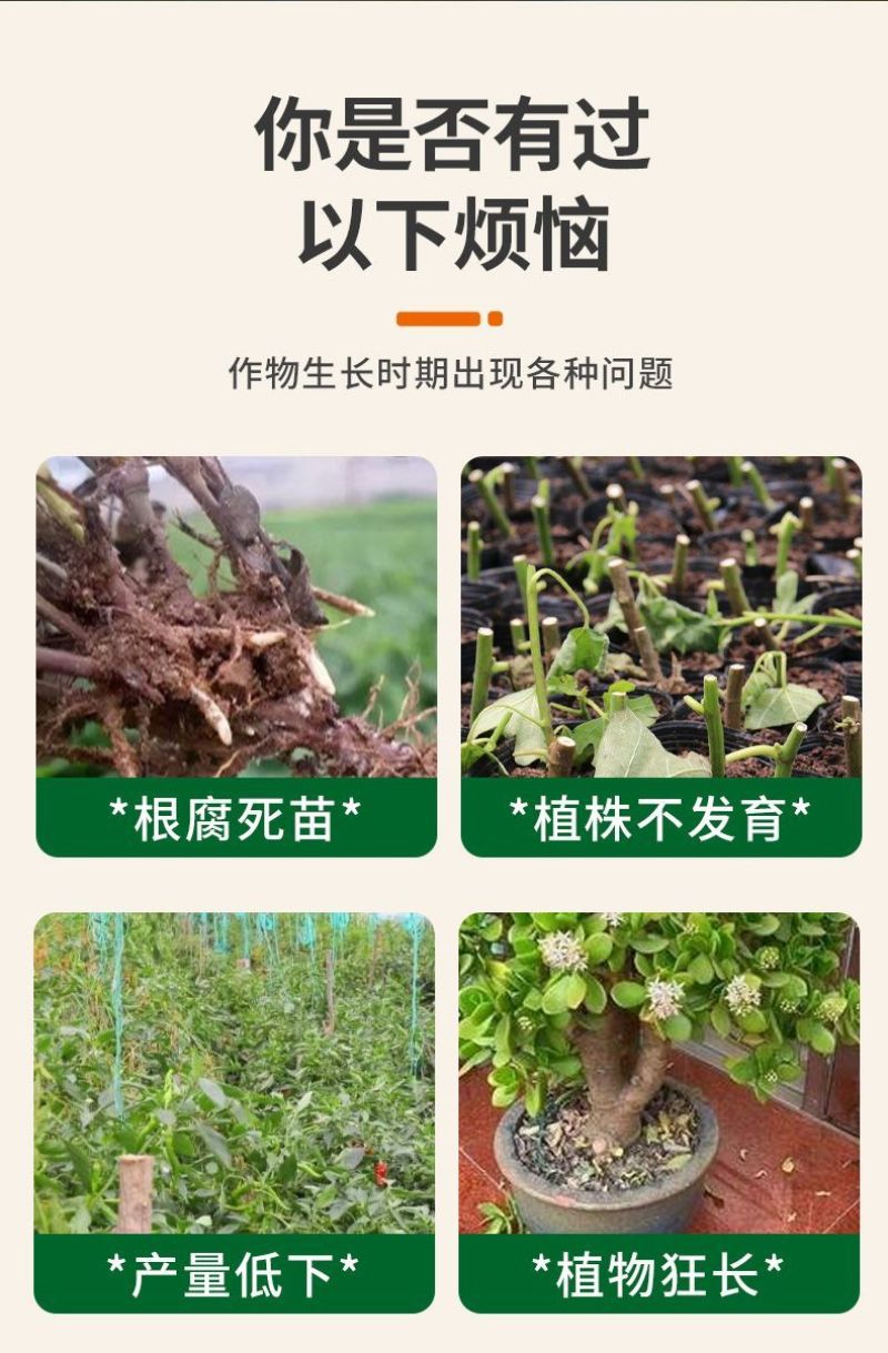 杀菌剂病菌清根腐枯黄病菌清灰霉病白粉叶斑微生物菌剂真菌细