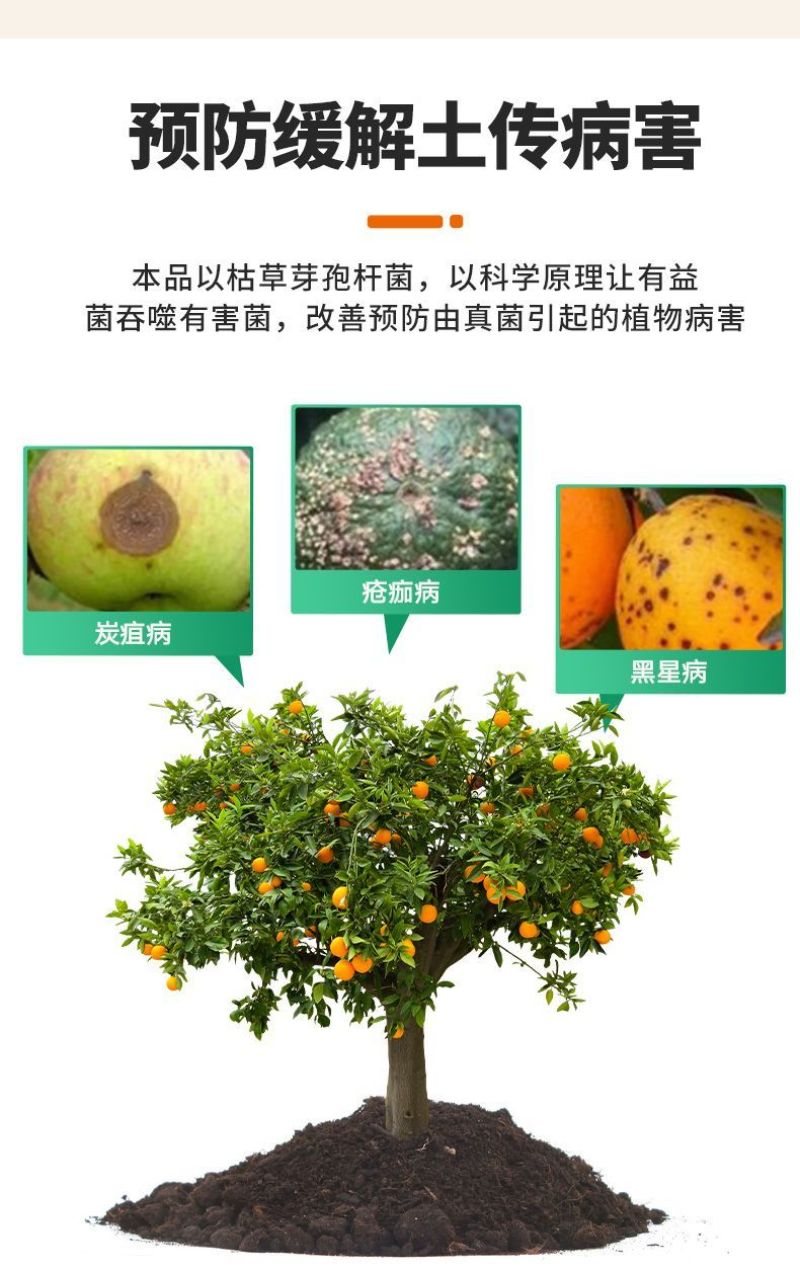 杀菌剂病菌清根腐枯黄病菌清灰霉病白粉叶斑微生物菌剂真菌细