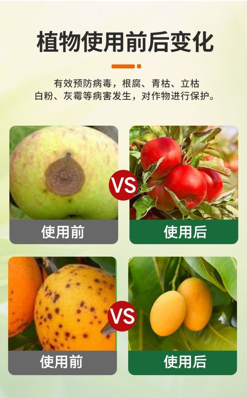杀菌剂病菌清根腐枯黄病菌清灰霉病白粉叶斑微生物菌剂真菌细