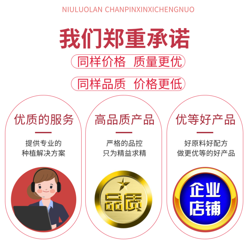 糖醇锌鳌合锌微量元素叶面肥通用预防小叶黄化改善品质补锌