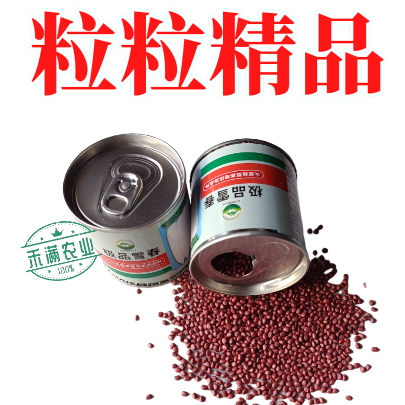 原装原罐雪春萝卜种子春萝卜种子春萝卜种子籽罐装白玉天