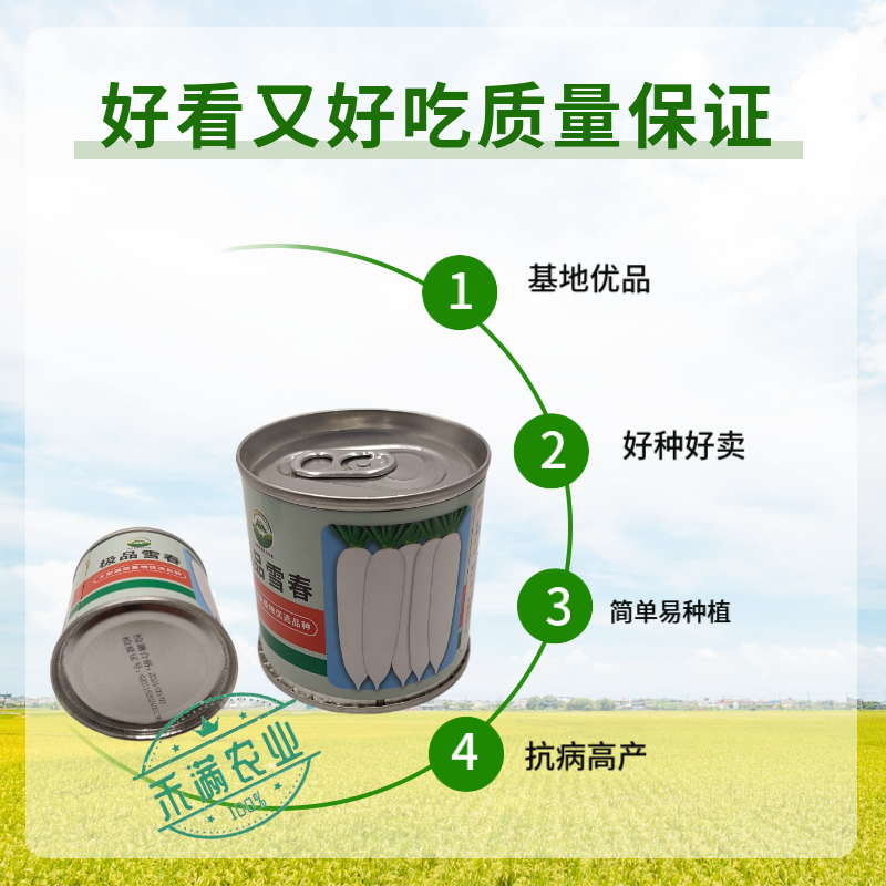 原装原罐雪春萝卜种子春萝卜种子春萝卜种子籽罐装白玉天