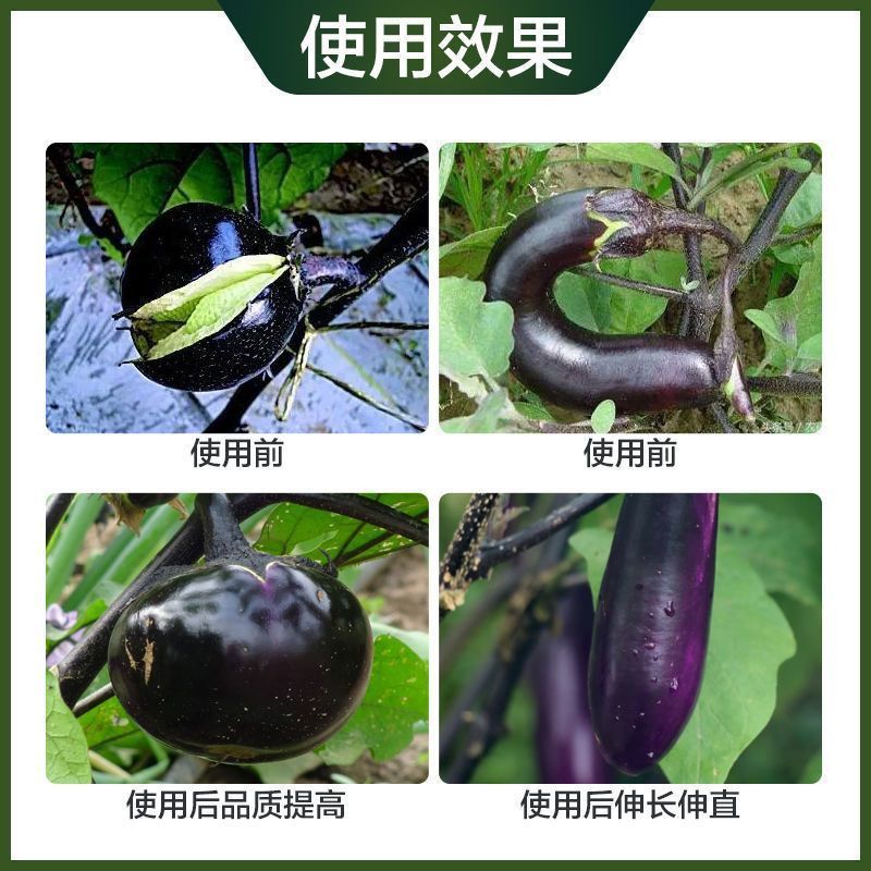 茄子专用叶面肥生根壮苗保花保果拉直拉长茄子增质增产黑亮膨