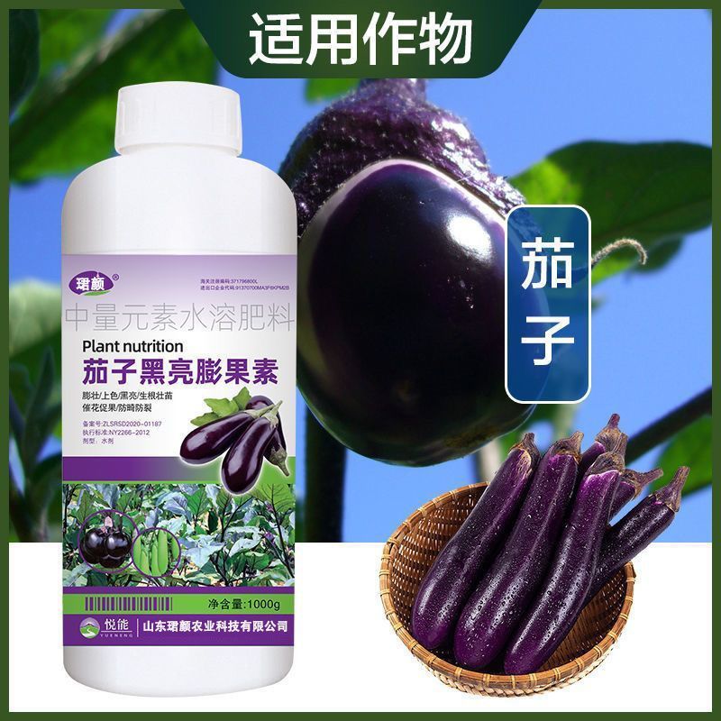 茄子专用叶面肥生根壮苗保花保果拉直拉长茄子增质增产黑亮膨
