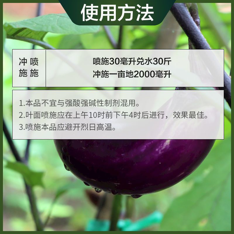 茄子专用叶面肥生根壮苗保花保果拉直拉长茄子增质增产黑亮膨