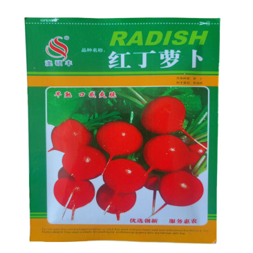 荷兰水果樱桃萝卜种子红小丁樱桃萝卜籽耐寒高产蔬菜种籽