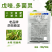 冠龙60%戊唑多菌灵稻曲病稻瘟病纹枯病赤霉病白腐病斑点