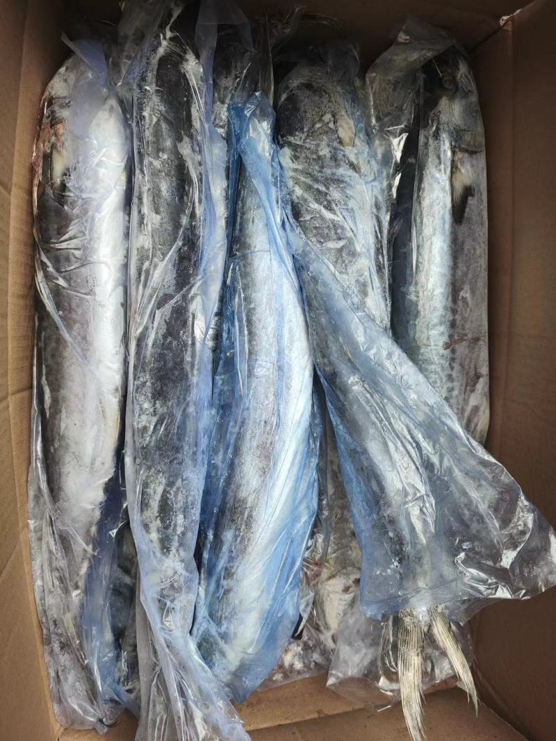 1/1.5单冻鲅鱼海捕鲅鱼工厂直营