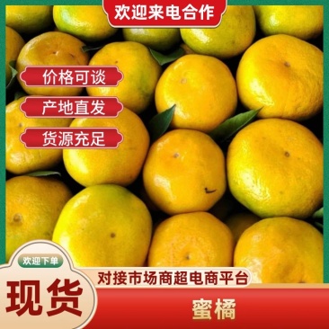【推荐】陕西精品大量高山蜜橘上市产地直发价优欢迎