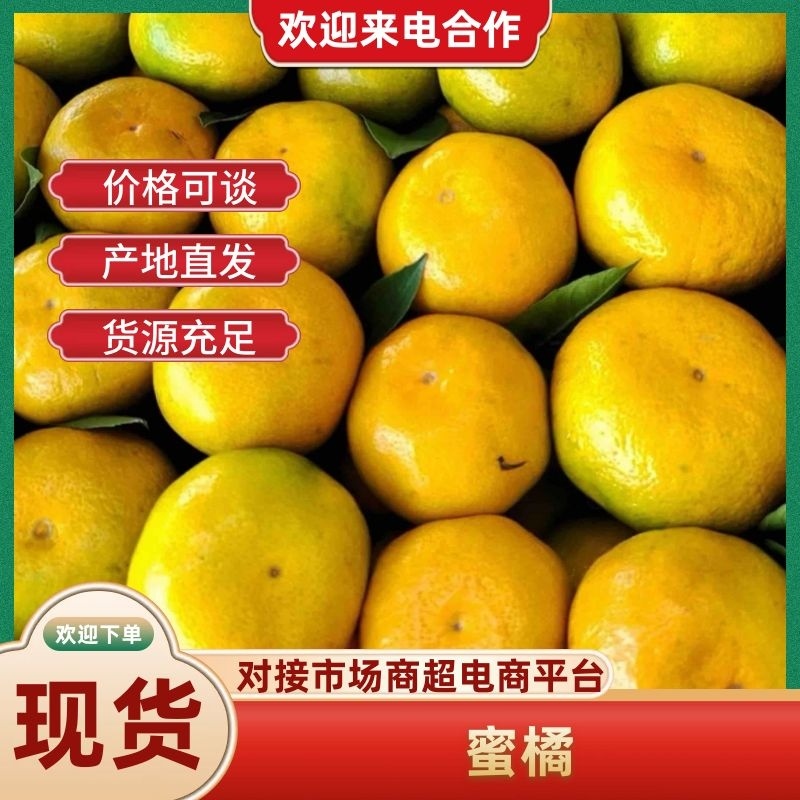 【推荐】陕西精品大量高山蜜橘上市产地直发价优欢迎