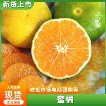 【精品】陕西汉中蜜桔产地货源全国直发可视频看货欢迎