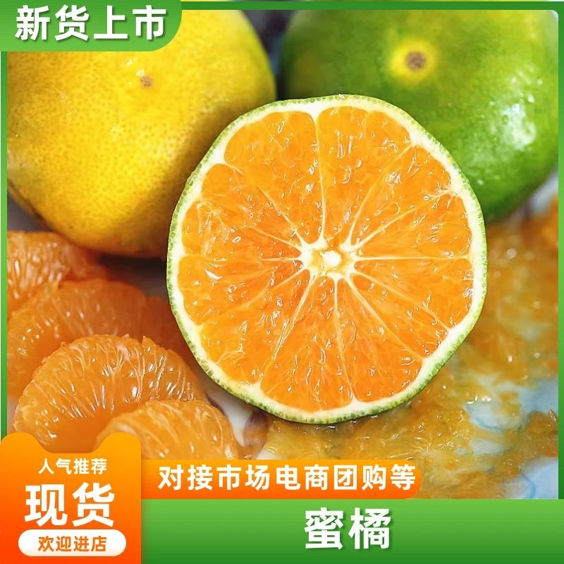 【精品】陕西汉中蜜桔产地货源全国直发可视频看货欢迎