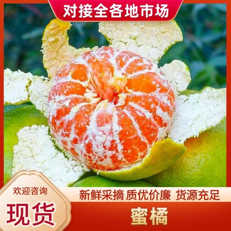 【精品】陕西汉中蜜桔产地货源全国直发可视频看货欢迎