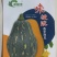 香芋南瓜，贝贝密本种子！发芽率高达98%以上，欢迎选购！