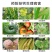 氨基酸钙补钙防裂果保花保果增产膨大蔬菜果树花卉叶面肥