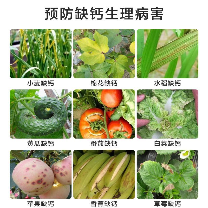 氨基酸钙补钙防裂果保花保果增产膨大蔬菜果树花卉叶面肥