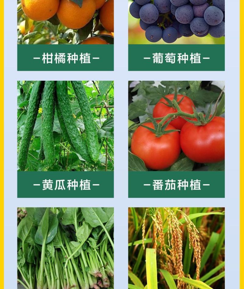 氨基酸钙补钙防裂果保花保果增产膨大蔬菜果树花卉叶面肥