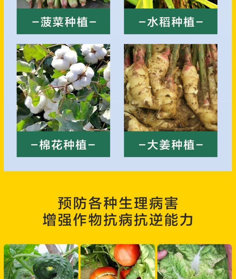 氨基酸钙补钙防裂果保花保果增产膨大蔬菜果树花卉叶面肥