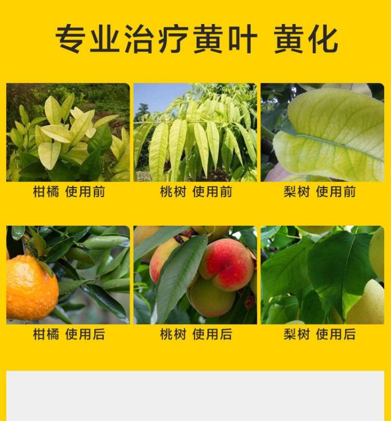 螯合铁肥糖醇铁快速补铁防黄叶促生长防叶片失绿嫩叶变黄叶面