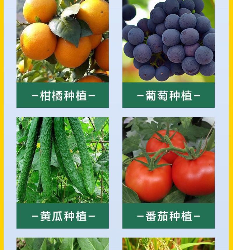 螯合铁肥糖醇铁快速补铁防黄叶促生长防叶片失绿嫩叶变黄叶面