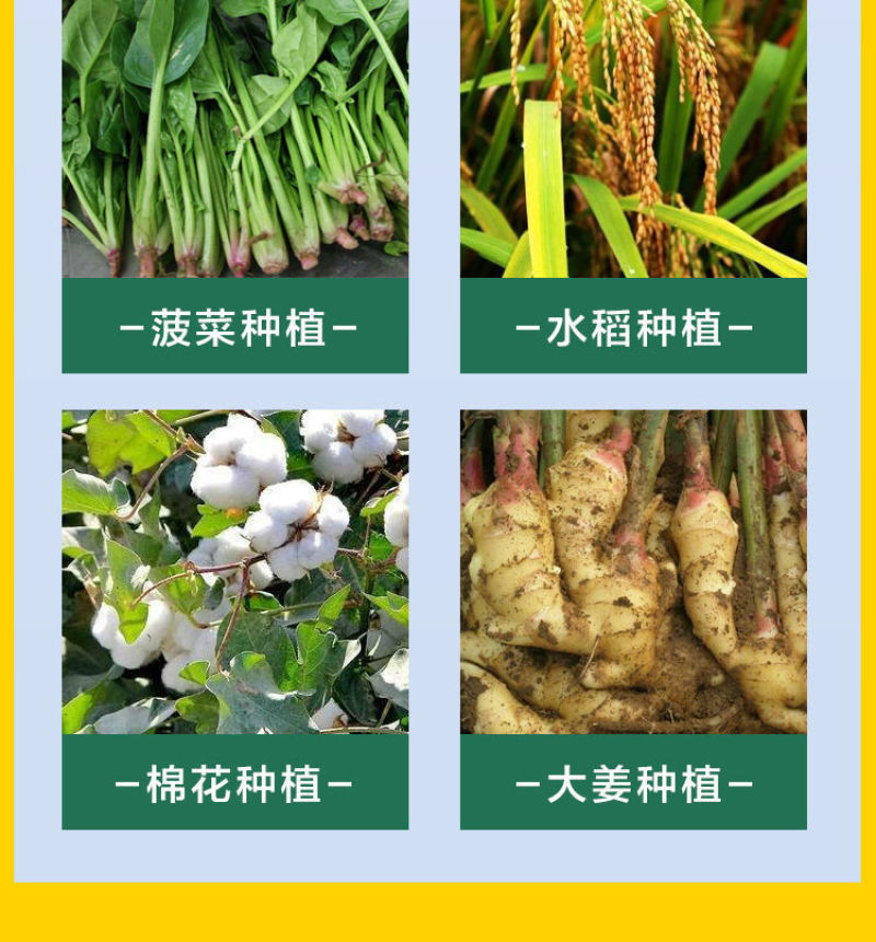 螯合铁肥糖醇铁快速补铁防黄叶促生长防叶片失绿嫩叶变黄叶面
