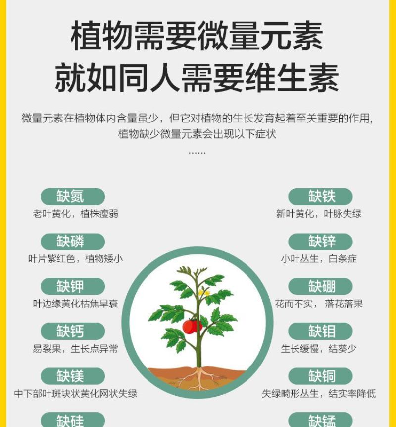 螯合铁肥糖醇铁快速补铁防黄叶促生长防叶片失绿嫩叶变黄叶面