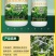 菠菜猛长快又壮专用绿叶壮苗促根壮棵增产增收水溶肥