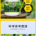 菠菜猛长快又壮专用绿叶壮苗促根壮棵增产增收水溶肥