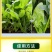 菠菜猛长快又壮专用绿叶壮苗促根壮棵增产增收水溶肥
