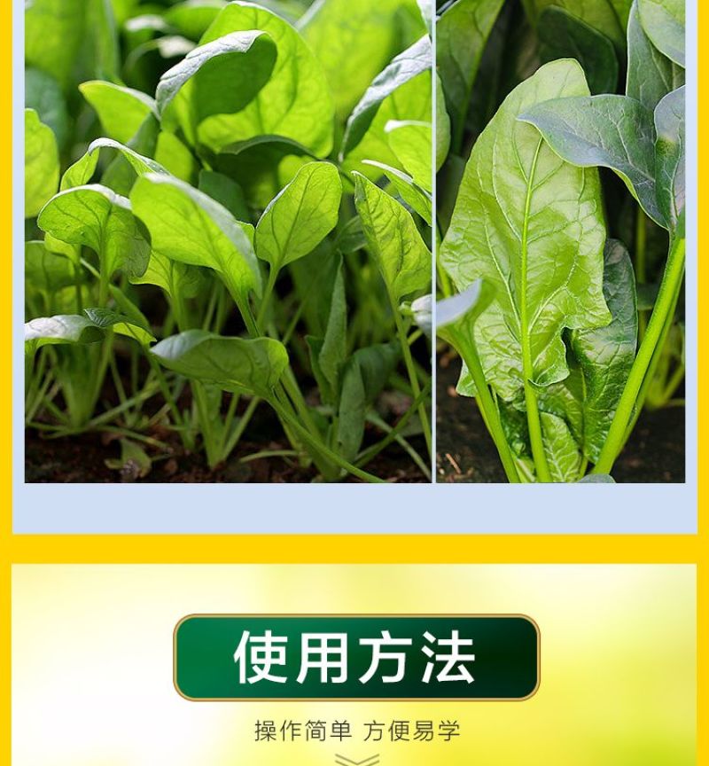 菠菜猛长快又壮专用绿叶壮苗促根壮棵增产增收水溶肥