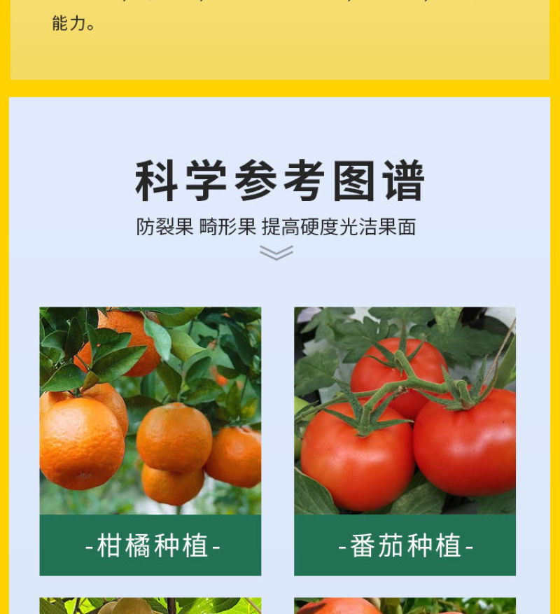大果壹圈促细胞分裂防裂果膨大果实提糖增甜着色促红叶面肥