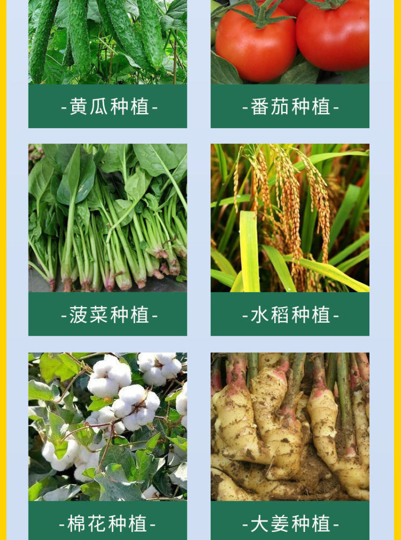 大果壹圈促细胞分裂防裂果膨大果实提糖增甜着色促红叶面肥