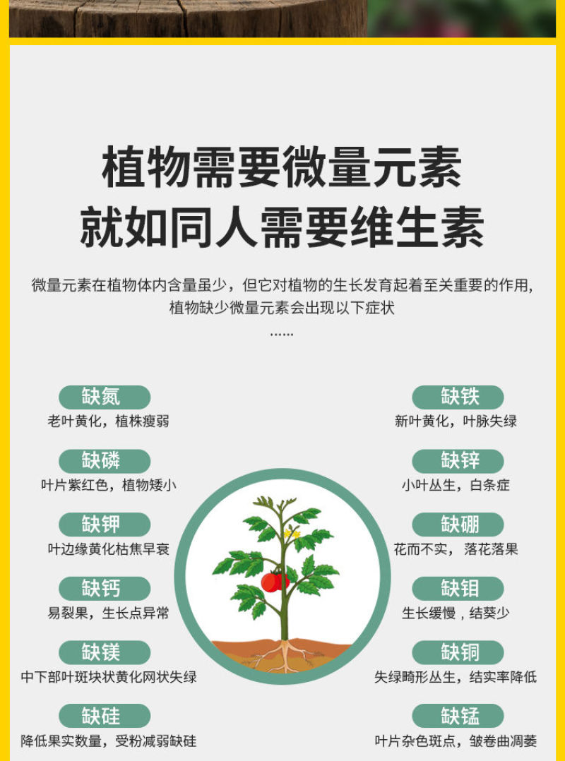 大果壹圈促细胞分裂防裂果膨大果实提糖增甜着色促红叶面肥