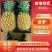 广东徐闻菠萝泰国小菠萝香水菠萝海南菠萝品种齐全