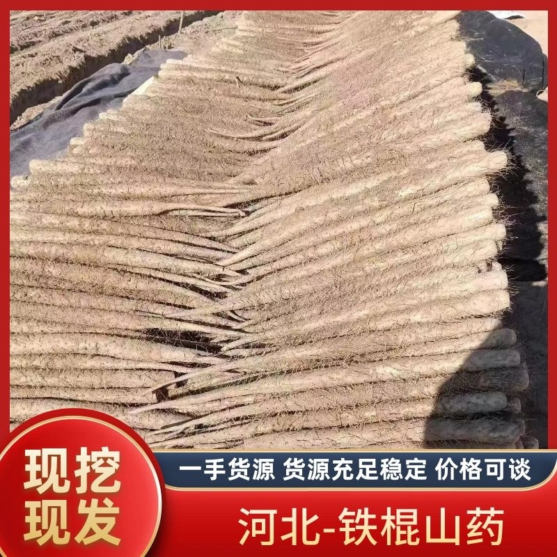 【河北山药24年新品】双棒山药产地直发，货量充足，质量保证