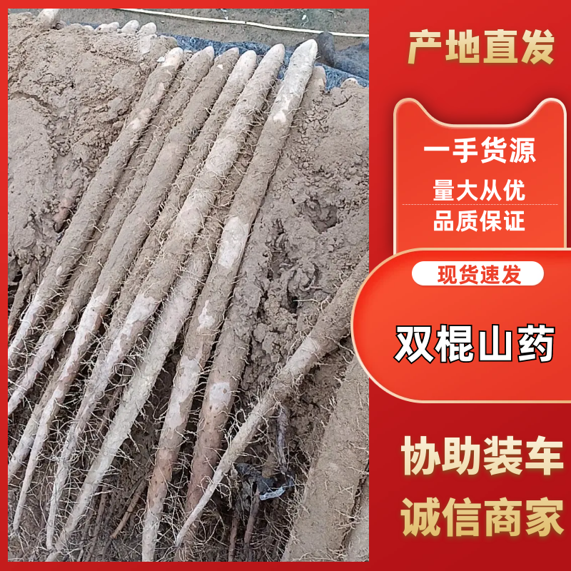 内黄县麻山药，双棒山药，产地直供，对接电商社区商超