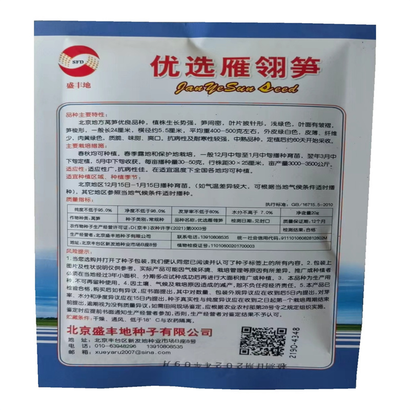 莴笋种子优选雁翎笋耐寒莴苣种子中熟品种