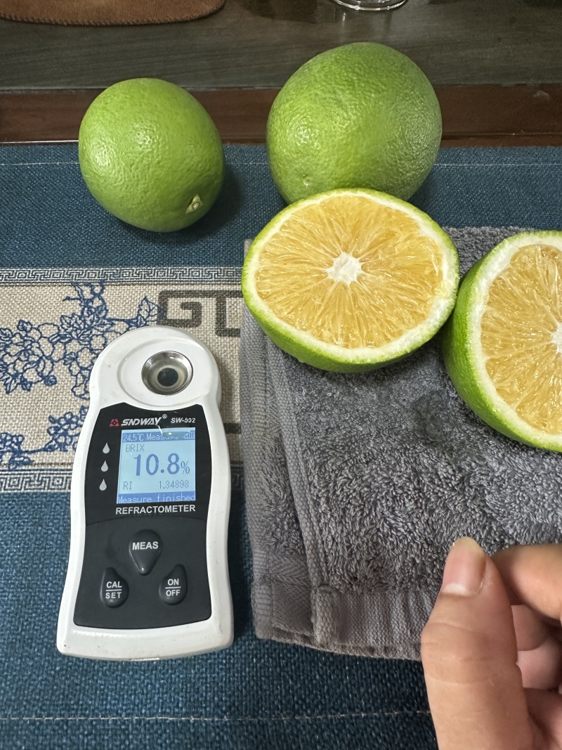 云南冰糖橙一件代发