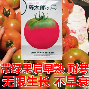绿太郞草莓柿子种子草莓番茄种子早熟耐寒深粉红高圆大果