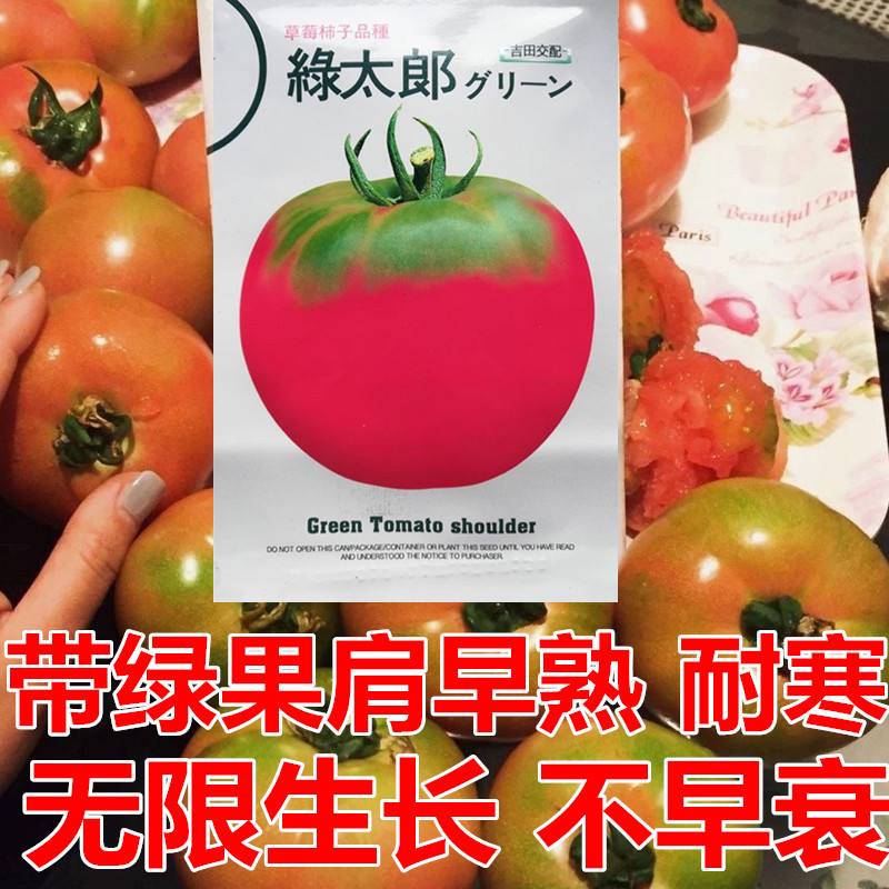 绿太郞草莓柿子种子草莓番茄种子早熟耐寒深粉红高圆大果
