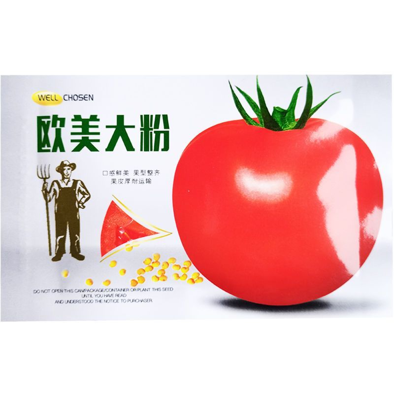 欧美大粉西红柿种子早熟耐寒无限生长不早衰越冬番茄