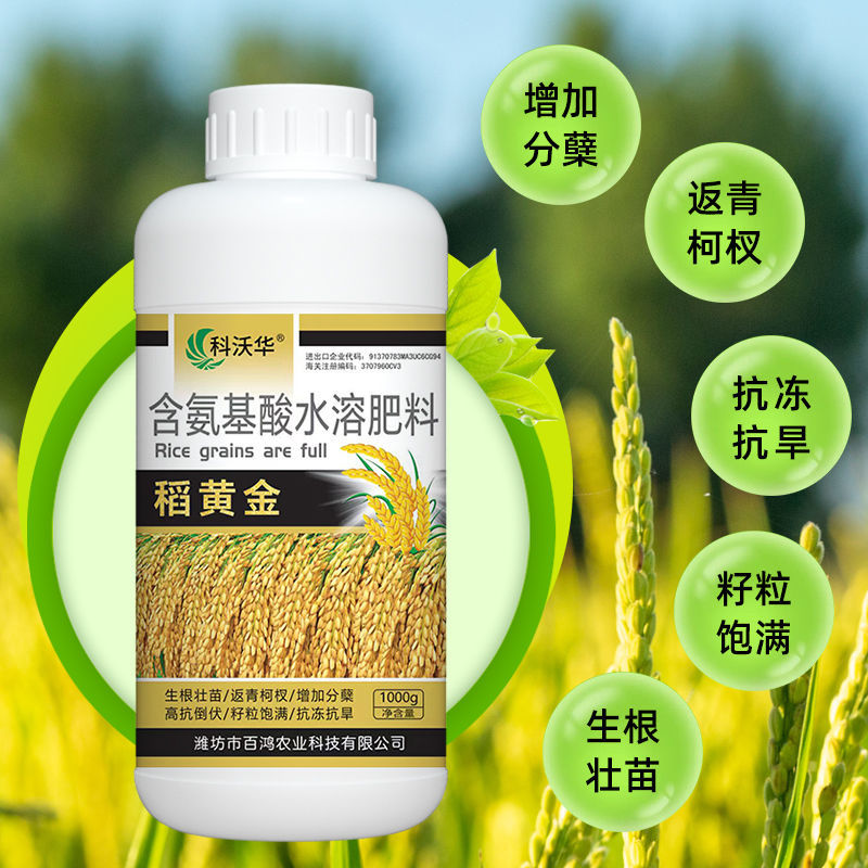 水稻粒粒饱水稻黄金增产促分蘖抗倒伏生根壮苗专用叶面肥料